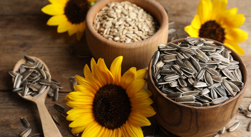 Top 4 Health Benefits of Sunflower Seeds